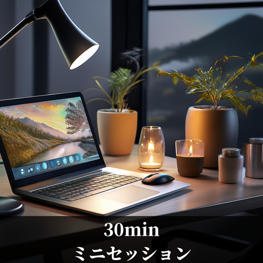 30分ミニセッション