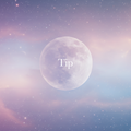 Tip（お心付け）